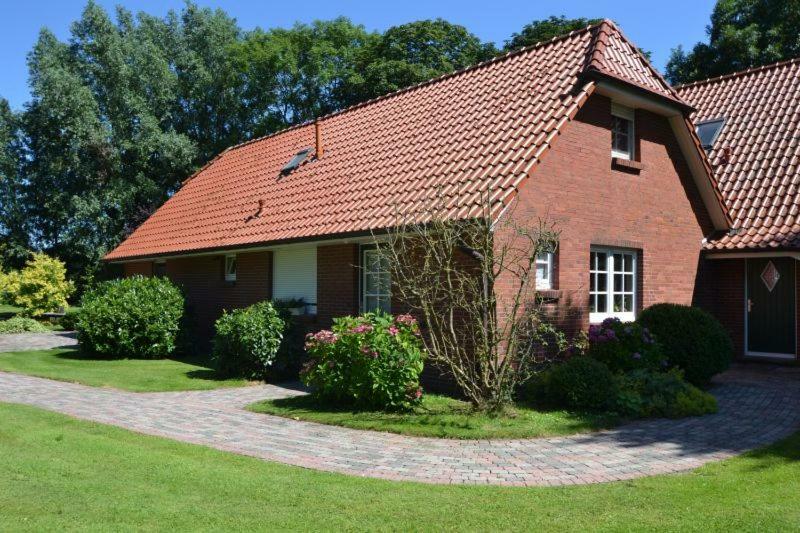 Strandlaeufer